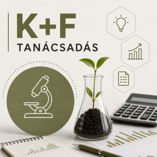C&H Partners Tax Consulting