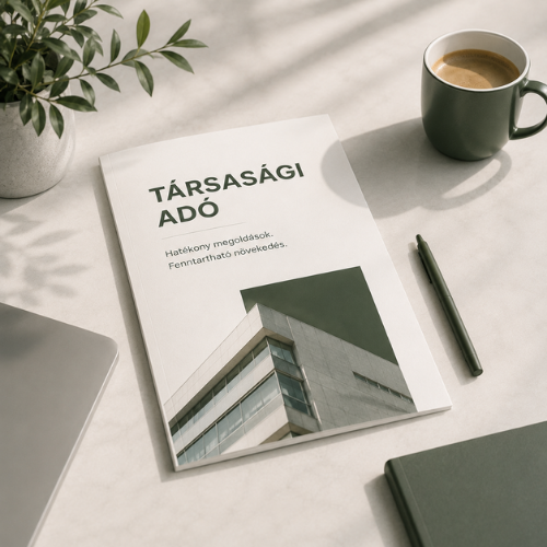 Társasági adó tanácsadás